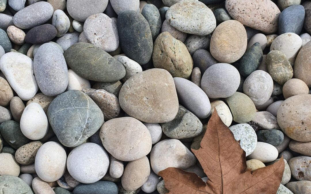 Schanskorf: een innovatieve oplossing voor duurzaam landschapsontwerp